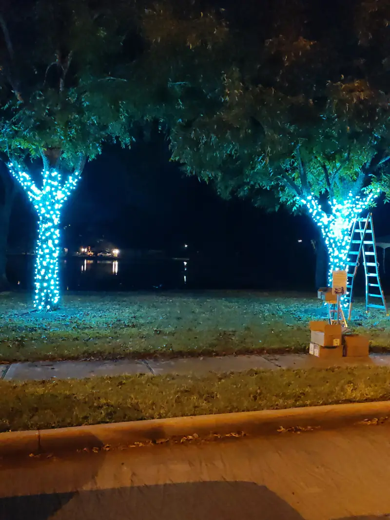 Two lakeside trees at night with their trunks and lower limbs wrapped in blue-white lights, an extension ladder leaning against the right-hand tree and open boxes of light strings stacked on the grass beside it